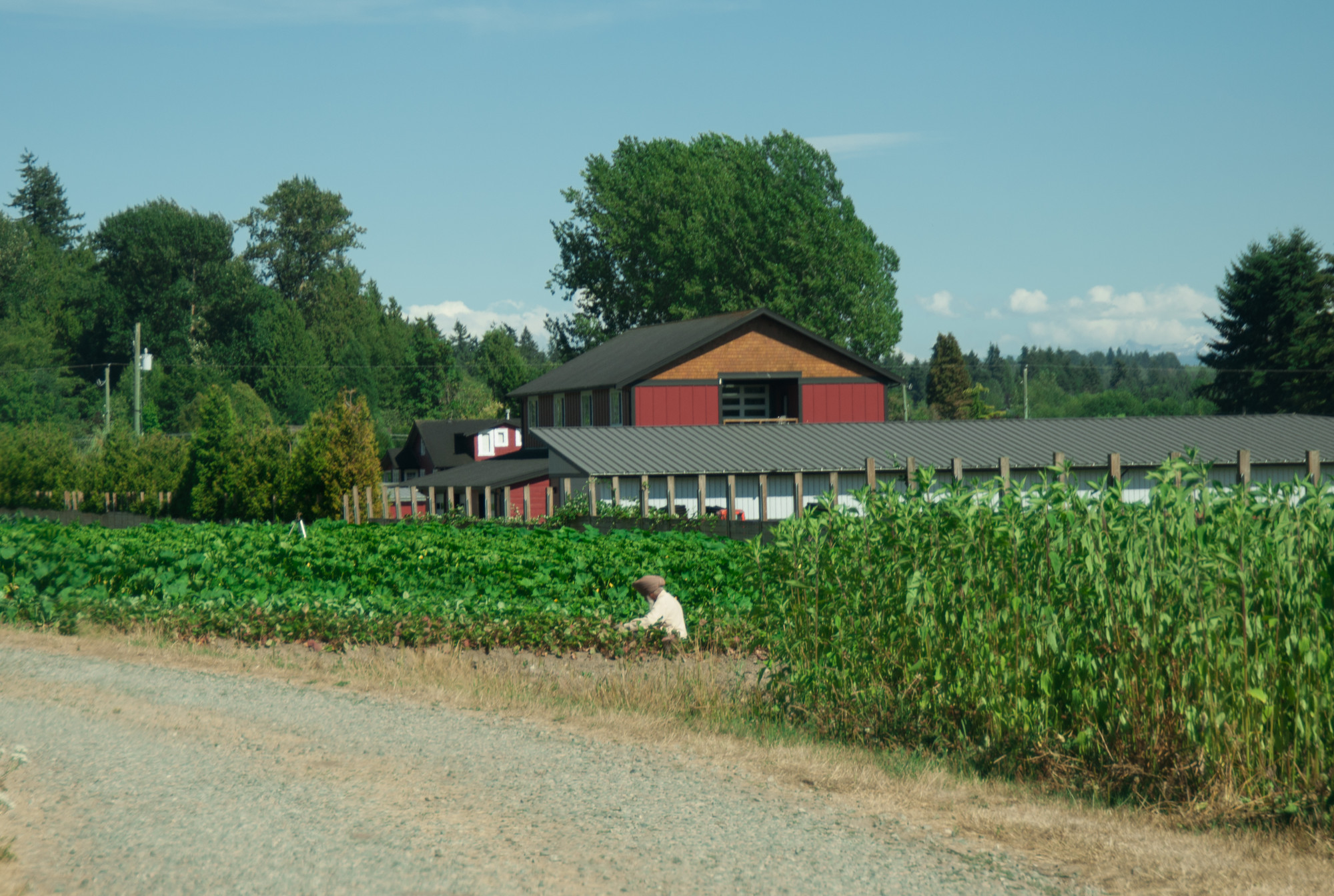 farms to visit in surrey