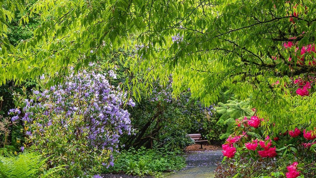 Darts Hill Garden May