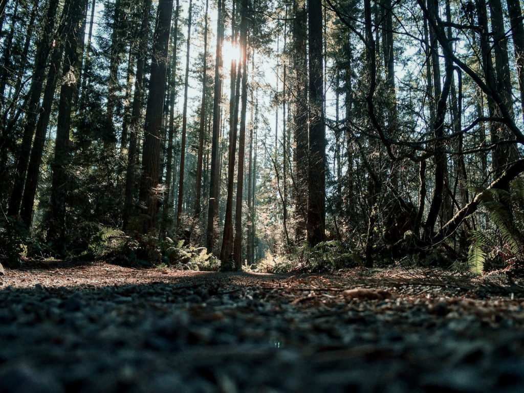 Surrey Guided Nature Walks - Discover Surrey