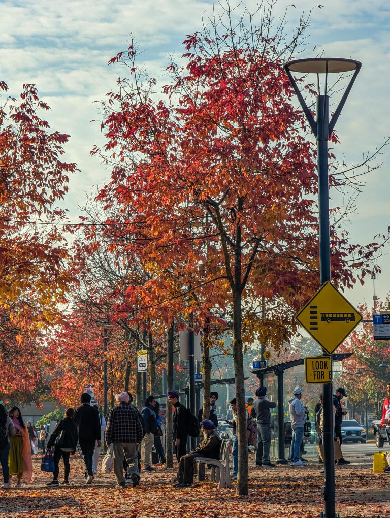 A Bus Stop in Newton with vivid fall colours and a array of people